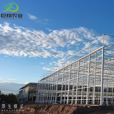 Método de cultivo hidropónico Agricultura Estufas de vidro para tomate/frutas temperadas