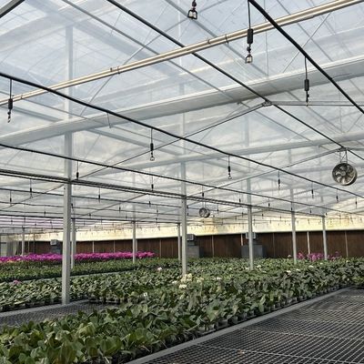 Estufas agrícolas de vidro grandes e de estilo Venlo com sistema de controlo automático