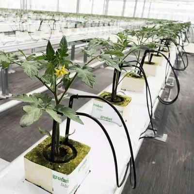 Estufas personalizadas para a agricultura Vidro comercial/Vídeo temperado/Vídeo flutuante