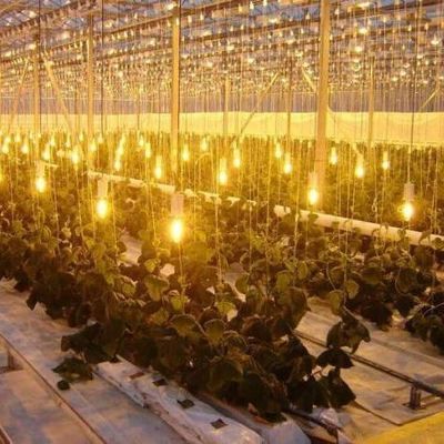 Reservatório de água de pulverização de dupla camada, iluminado por controle, estufa para soluções de plantação