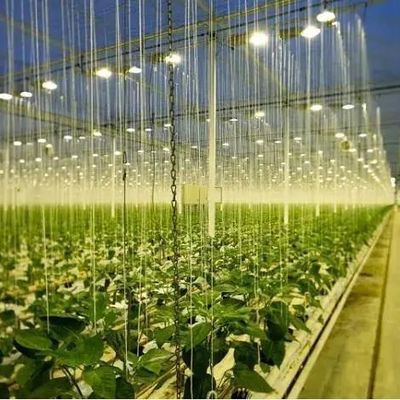 Capa de vidro JX-GG-12 Instalação de sementeira hidropônica sombreada Estufa iluminada por Juxiang
