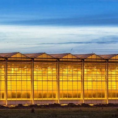 Capa de vidro JX-GG-12 Instalação de sementeira hidropônica sombreada Estufa iluminada por Juxiang