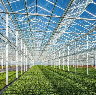 Método de cultivo hidropônico aquecimento comercial jardim estufa de vidro para plantas