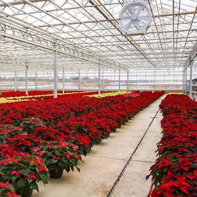 Método de cultivo hidropônico aquecimento comercial jardim estufa de vidro para plantas