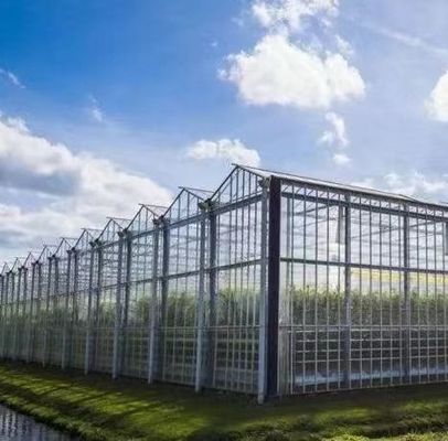 Método de cultivo hidropônico aquecimento comercial jardim estufa de vidro para plantas