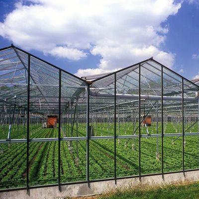 Método de cultivo hidropônico aquecimento comercial jardim estufa de vidro para plantas