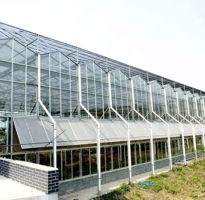 Método de cultivo hidropônico aquecimento comercial jardim estufa de vidro para plantas