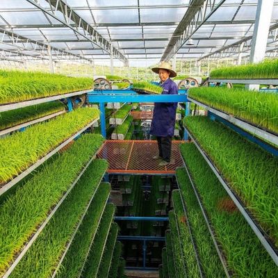 Casa-verde JX-Glass personalizada 2023 Juxiang Equipamento agrícola com sistema de resfriamento