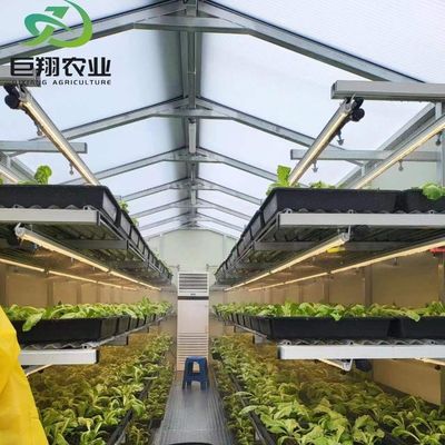 Casa-verde JX-Glass personalizada 2023 Juxiang Equipamento agrícola com sistema de resfriamento
