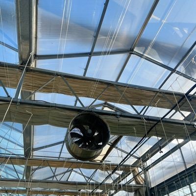 Estrutura de aço Irrigação por gotejamento Estufas de vidro para plantas Telhado Forma de telhado de tipo