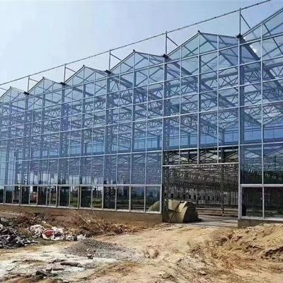 Estrutura de aço Irrigação por gotejamento Estufas de vidro para plantas Telhado Forma de telhado de tipo