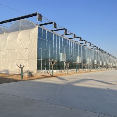 Estufas de luz solar 100% apagão automática Estufas de privação de luz no Canadá / EUA