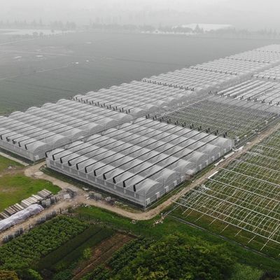 Estufas de luz solar 100% apagão automática Estufas de privação de luz no Canadá / EUA