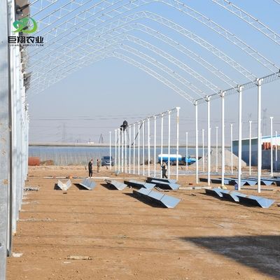 Estufas de privação automática de luz com apagão de 100% para o Canadá / EUA