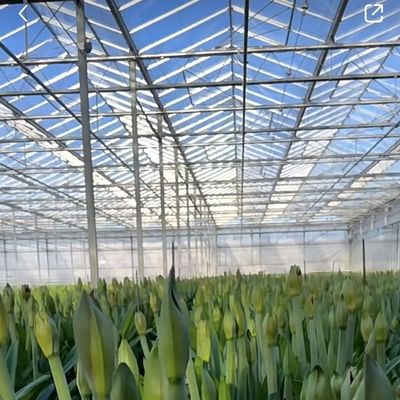 Sistema de tela de sombreamento multi-espansão Pacote de estufa de vidro Tamanho 50,00cm * 60,00cm * 80,00cm