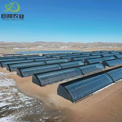 Roofing Shape Arched Roof JX-Arch Green House para Tomate Strawberry Hidropônica Agricultura