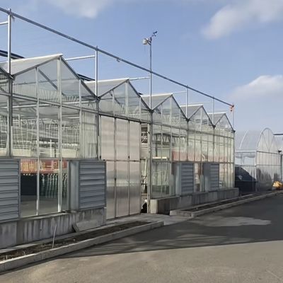 Estufas de vidro de camada única para horticultura personalizadas para suas necessidades