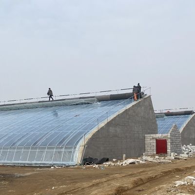 Aquecimento contínuo Teto de serra dentada PE/Pep Film Greenhouse com espessura de filme de 0,2 mm