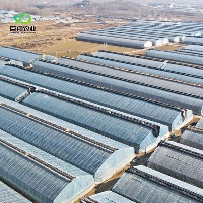 Aquecimento contínuo Teto de serra dentada PE/Pep Film Greenhouse com espessura de filme de 0,2 mm