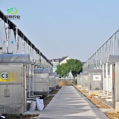 8m 9,6m 12m Filme de espessura personalizado Agricultura de plástico com sistema de cultivo hidropônico