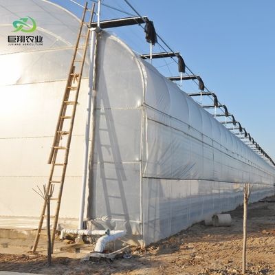 8m 9,6m 12m Filme de espessura personalizado Agricultura de plástico com sistema de cultivo hidropônico