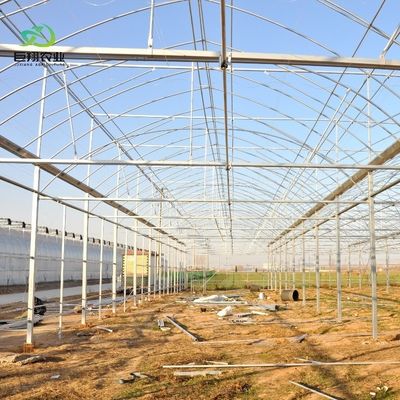 8m 9,6m 12m Filme de espessura personalizado Agricultura de plástico com sistema de cultivo hidropônico