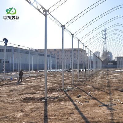 8m 9,6m 12m Filme de espessura personalizado Agricultura de plástico com sistema de cultivo hidropônico