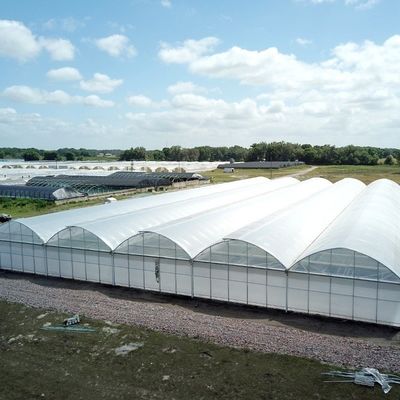 8m 9,6m 12m Filme de espessura personalizado Agricultura de plástico com sistema de cultivo hidropônico