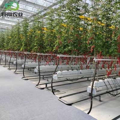 Estufas de jardim de vidro de estrutura de alumínio Estufas comerciais vitorianas para vegetais