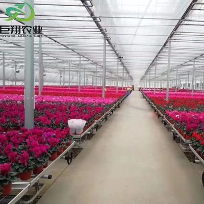 Estufas de jardim de vidro de estrutura de alumínio Estufas comerciais vitorianas para vegetais