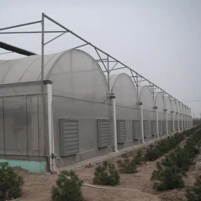 Sistema de irrigação hidropônica para morangos/flores/vegetais Estufas de plástico galvanizado de aço com estrutura multi-espessura