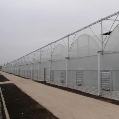 Sistema de irrigação hidropônica para morangos/flores/vegetais Estufas de plástico galvanizado de aço com estrutura multi-espessura