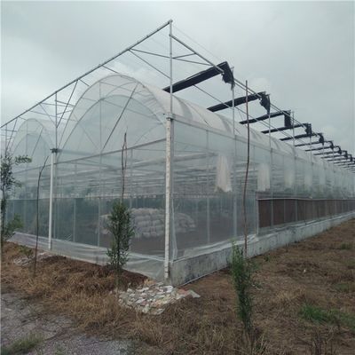 Sistema de irrigação hidropônica para morangos/flores/vegetais Estufas de plástico galvanizado de aço com estrutura multi-espessura