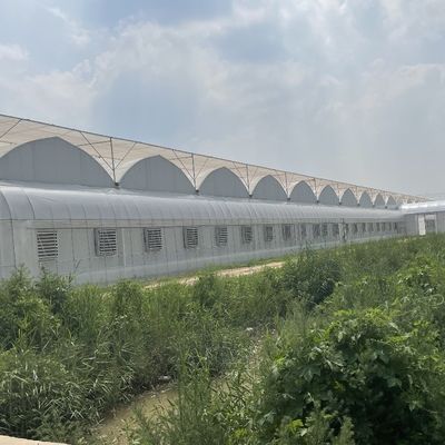 Sistema de irrigação hidropônica para morangos/flores/vegetais Estufas de plástico galvanizado de aço com estrutura multi-espessura