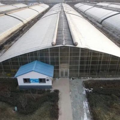 Estrutura de tubos de aço galvanizados a quente para sistema hidropónico e várias culturas