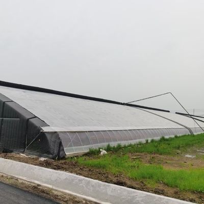 Estrutura de tubos de aço galvanizados a quente para sistema hidropónico e várias culturas