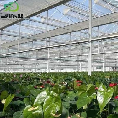 Estufas de luz solar, hidroponia, folha de plástico, para exploração agrícola