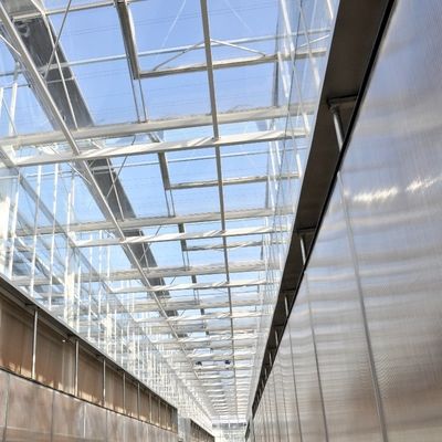 Estufas de luz solar, hidroponia, folha de plástico, para exploração agrícola
