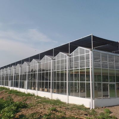 Estufas de luz solar, hidroponia, folha de plástico, para exploração agrícola