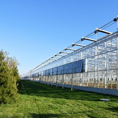 Estufas de luz solar, hidroponia, folha de plástico, para exploração agrícola