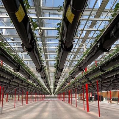 Grande abrigo de estufa de vidro para crescimento sustentável US 20 / metro quadrado Grande tamanho
