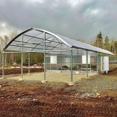 Hidroponia multispan Filtro de plástico Estufas agrícolas para exploração agrícola