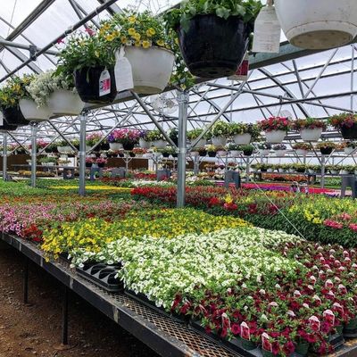 Hidroponia multispan Filtro de plástico Estufas agrícolas para exploração agrícola