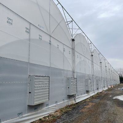 Aquecedor de plástico com telhado com arco, hidroponia com várias faixas, estufa agrícola para exploração agrícola