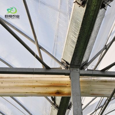 Aquecedor de plástico com telhado com arco, hidroponia com várias faixas, estufa agrícola para exploração agrícola