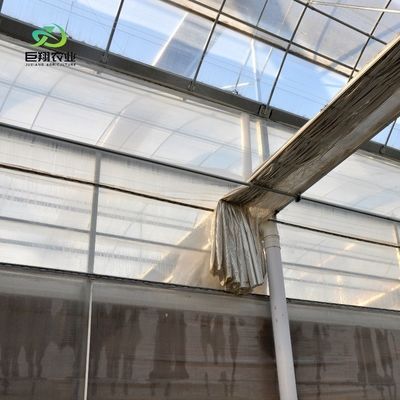 Aquecedor de plástico com telhado com arco, hidroponia com várias faixas, estufa agrícola para exploração agrícola