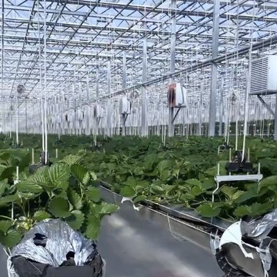 Canopy de estufa de duas camadas com boa transmissão da luz e função multi-espansão