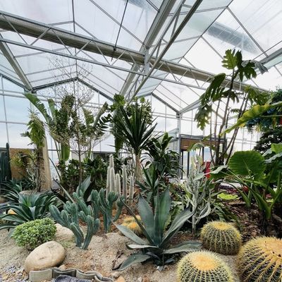 Sistema de hidroponia de estufa para o cultivo de flores Materiais de construção Estrutura de aço