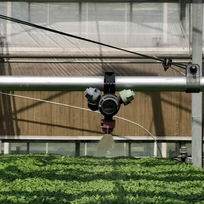 Estrutura de aço teto de vidro Estufas hidropónicas para grande cultivo e plantação de flores