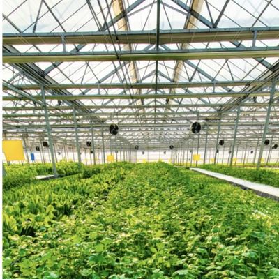 Estufa de vidro hidropônica para cultivo de flores 30 dias de devolução reembolsa um tipo de telhado